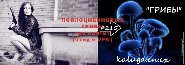кокс Арсеньев
