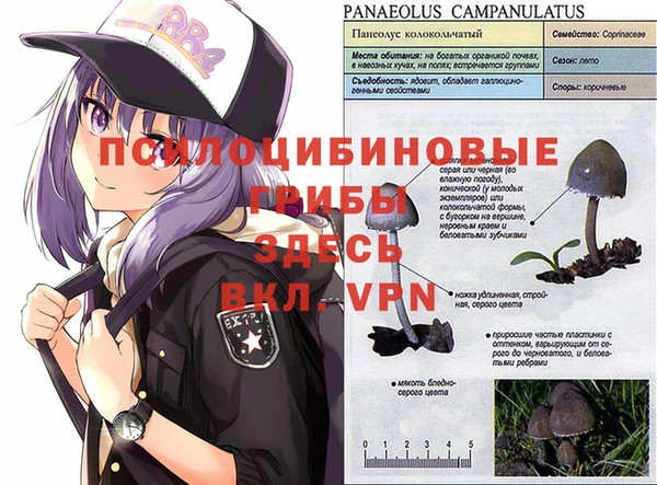 спиды Армянск